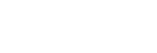 Aguinautic